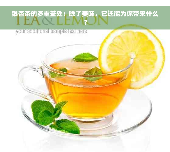 银杏茶的多重益处：除了美味，它还能为你带来什么？