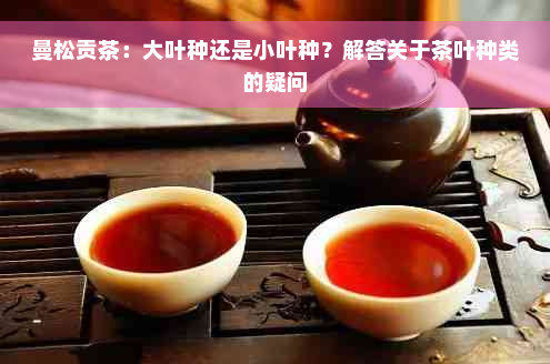 曼松贡茶：大叶种还是小叶种？解答关于茶叶种类的疑问