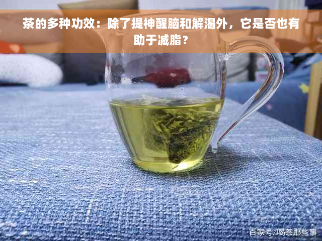 茶的多种功效：除了提神醒脑和解渴外，它是否也有助于减脂？