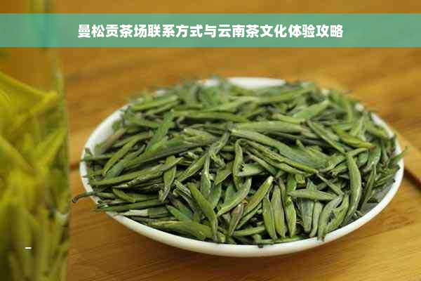 曼松贡茶场联系方式与云南茶文化体验攻略