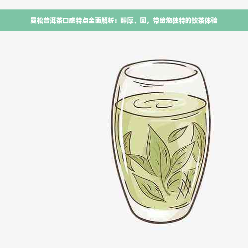 曼松普洱茶口感特点全面解析：醇厚、回，带给您独特的饮茶体验