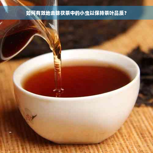 如何有效地去除茯茶中的小虫以保持茶叶品质？