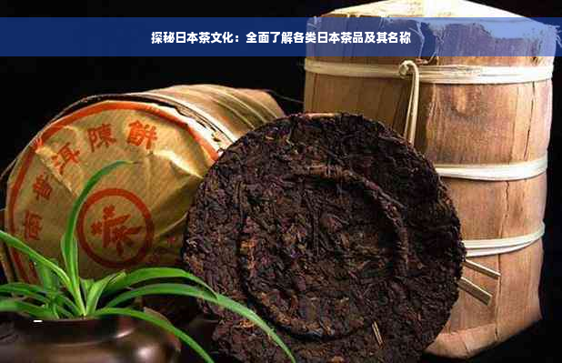 探秘日本茶文化：全面了解各类日本茶品及其名称