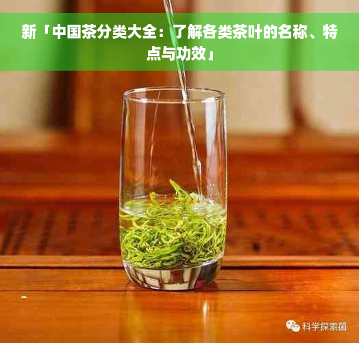 新「中国茶分类大全：了解各类茶叶的名称、特点与功效」