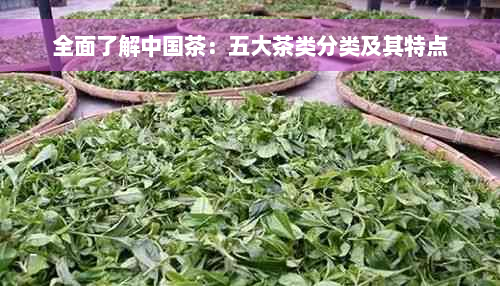 全面了解中国茶：五大茶类分类及其特点