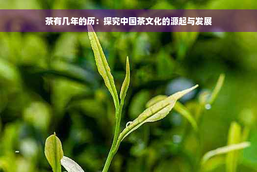 茶有几年的历：探究中国茶文化的源起与发展