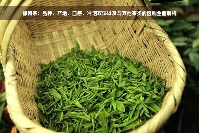 静冈茶：品种、产地、口感、冲泡方法以及与其他茶类的区别全面解析
