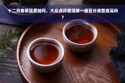 十二月春茶品质如何，大众点评普洱茶一桶百分满意度高吗？