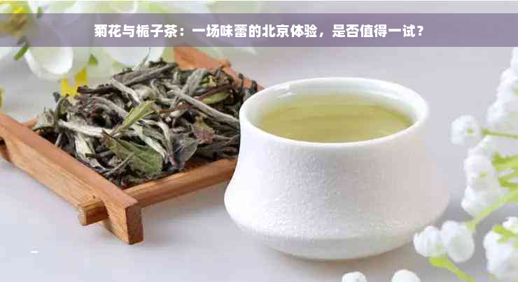 菊花与栀子茶：一场味蕾的北京体验，是否值得一试？