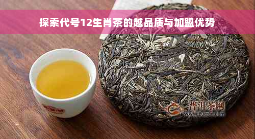 探索代号12生肖茶的越品质与加盟优势