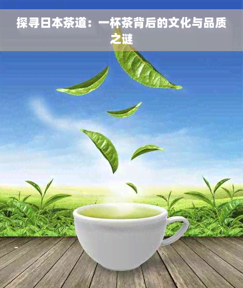 探寻日本茶道：一杯茶背后的文化与品质之谜