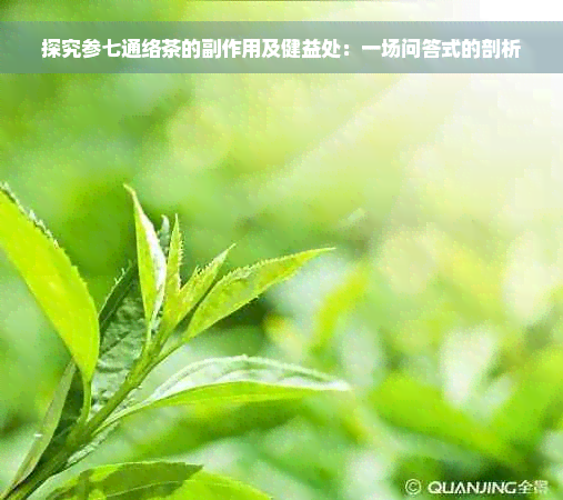 探究参七通络茶的副作用及健益处：一场问答式的剖析