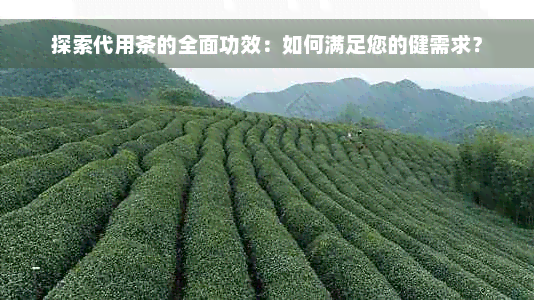 探索代用茶的全面功效：如何满足您的健需求？