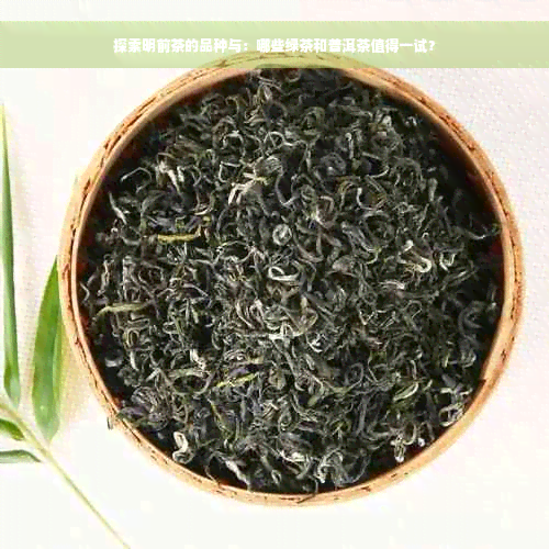 探索明前茶的品种与：哪些绿茶和普洱茶值得一试？