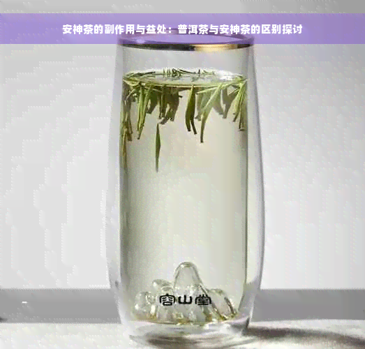 安神茶的副作用与益处：普洱茶与安神茶的区别探讨