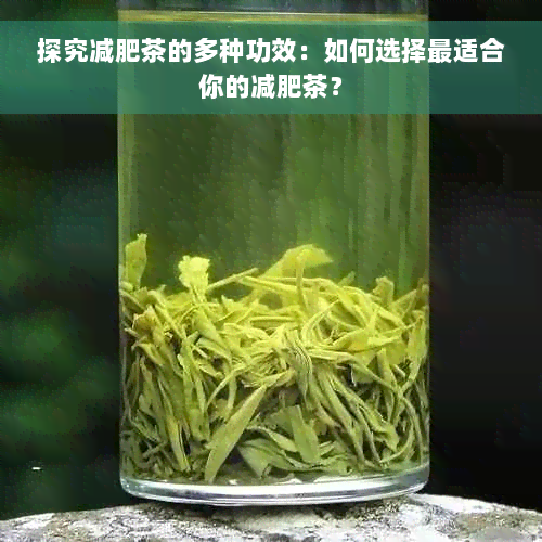 探究减肥茶的多种功效：如何选择最适合你的减肥茶？