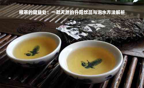 根茶的健益处：一款天然的升阳饮品与泡水方法解析