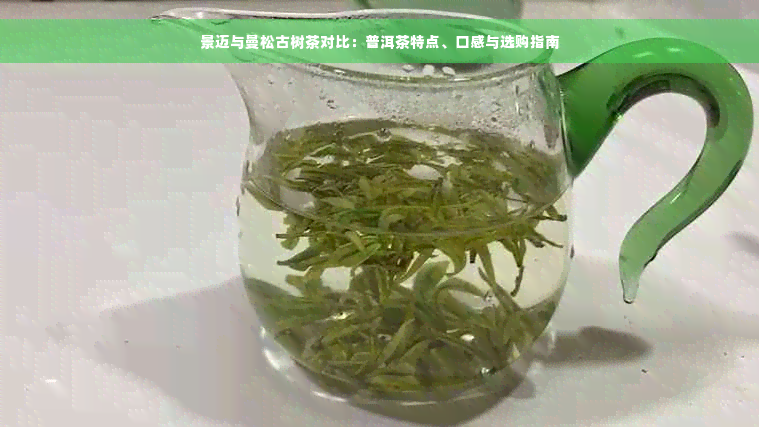 景迈与曼松古树茶对比：普洱茶特点、口感与选购指南