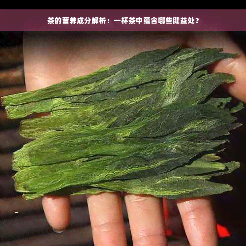 茶的营养成分解析：一杯茶中蕴含哪些健益处？