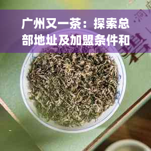 广州又一茶：探索总部地址及加盟条件和费用