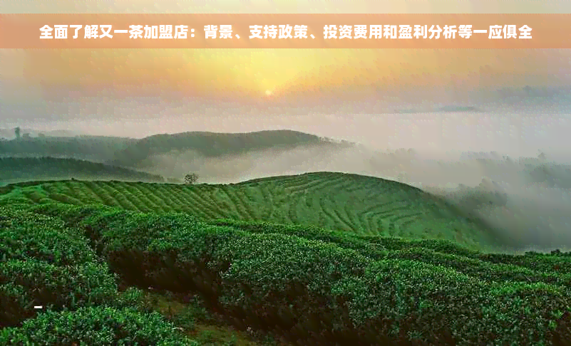 全面了解又一茶加盟店：背景、支持政策、投资费用和盈利分析等一应俱全