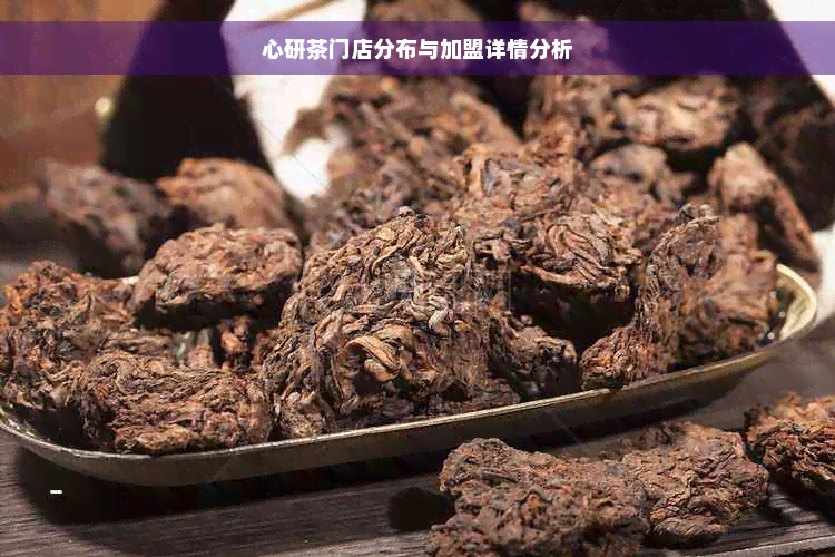 心研茶门店分布与加盟详情分析