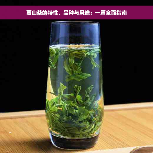 高山茶的特性、品种与用途：一篇全面指南