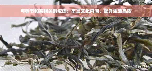 与春节和茶相关的成语：丰富文化内涵，提升生活品质