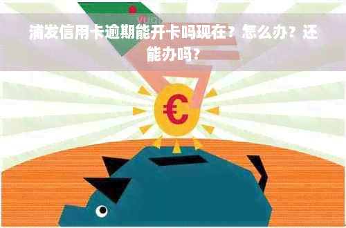 浦发信用卡逾期能开卡吗现在？怎么办？还能办吗？