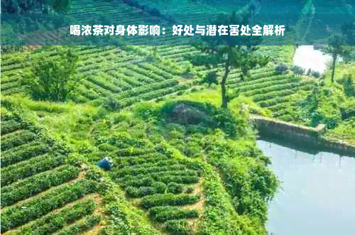 喝浓茶对身体影响：好处与潜在害处全解析