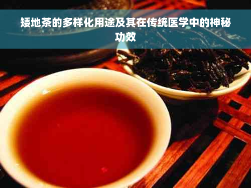 矮地茶的多样化用途及其在传统医学中的神秘功效