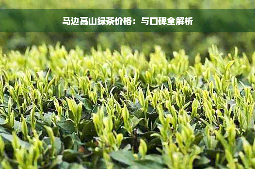 马边高山绿茶价格：与口碑全解析