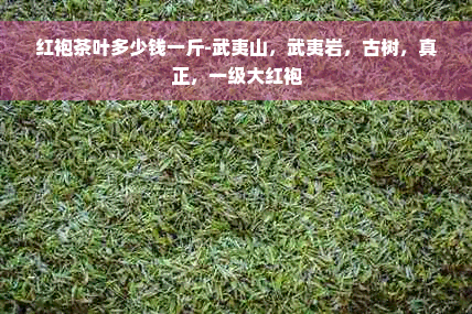 红袍茶叶多少钱一斤-武夷山，武夷岩，古树，真正，一级大红袍