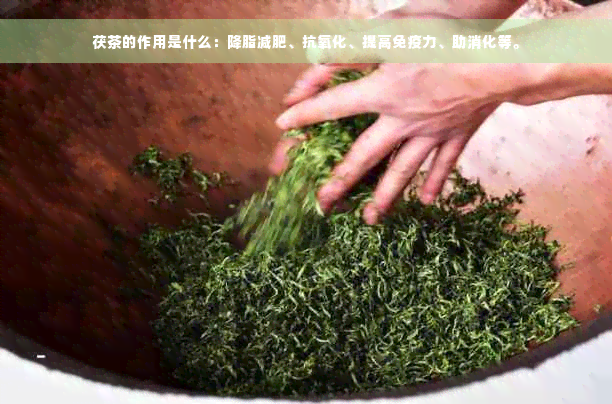 茯茶的作用是什么：降脂减肥、抗氧化、提高免疫力、助消化等。