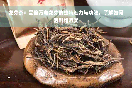 龙芽茶：品鉴万寿龙芽的独特魅力与功效，了解如何泡制和购买