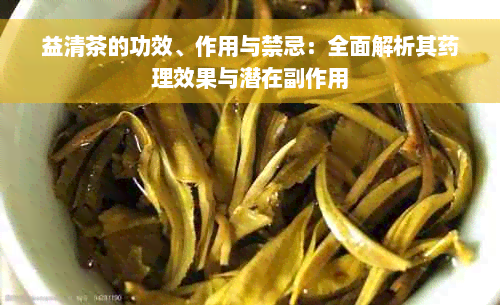 益清茶的功效、作用与禁忌：全面解析其药理效果与潜在副作用