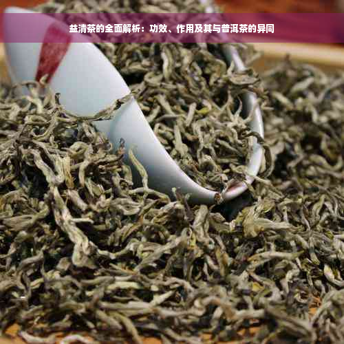 益清茶的全面解析：功效、作用及其与普洱茶的异同