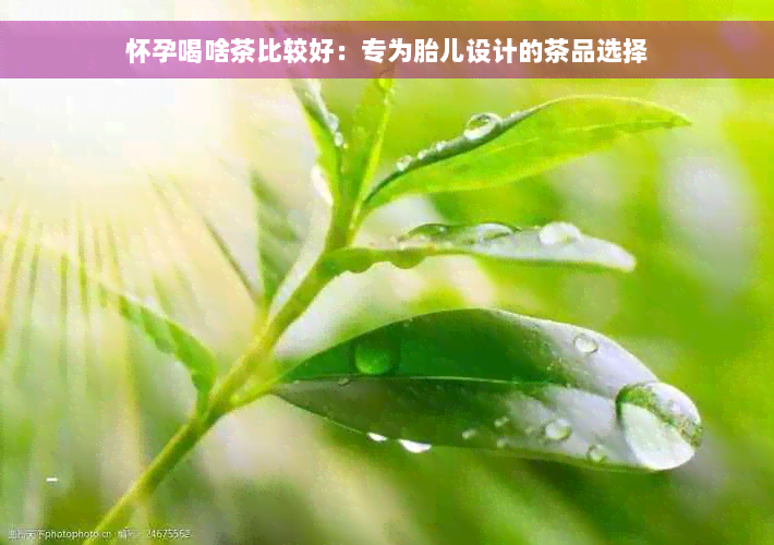 怀孕喝啥茶比较好：专为胎儿设计的茶品选择