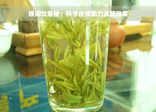 晚间饮茶秘：科学选择助力减肥效果