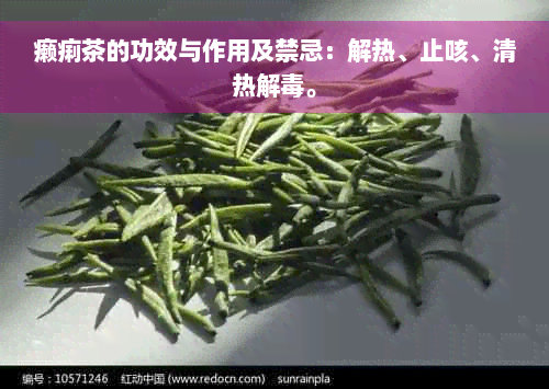 癞痢茶的功效与作用及禁忌：解热、止咳、清热解毒。