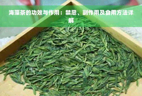 海藻茶的功效与作用：禁忌、副作用及食用方法详解