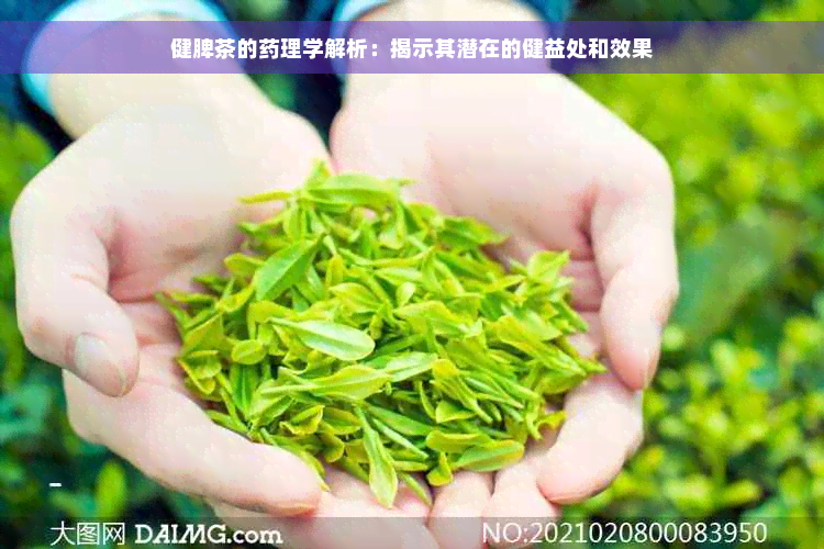 健脾茶的药理学解析：揭示其潜在的健益处和效果