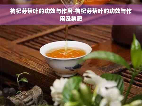 枸杞芽茶叶的功效与作用-枸杞芽茶叶的功效与作用及禁忌