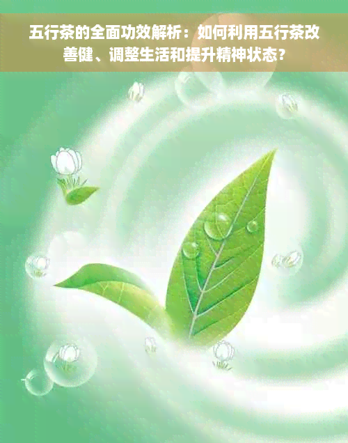 五行茶的全面功效解析：如何利用五行茶改善健、调整生活和提升精神状态？