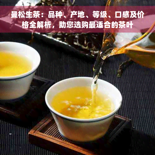 曼松生茶：品种、产地、等级、口感及价格全解析，助您选购最适合的茶叶