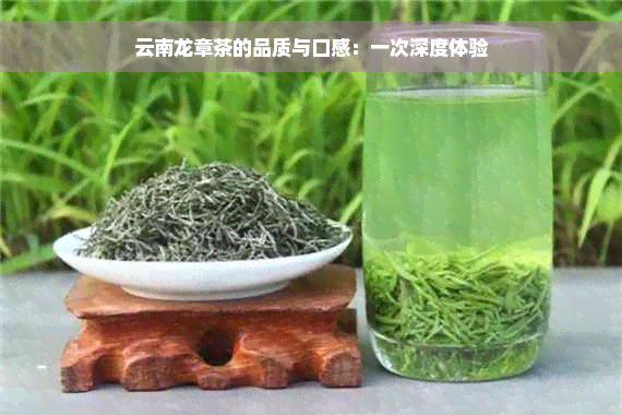 云南龙章茶的品质与口感：一次深度体验