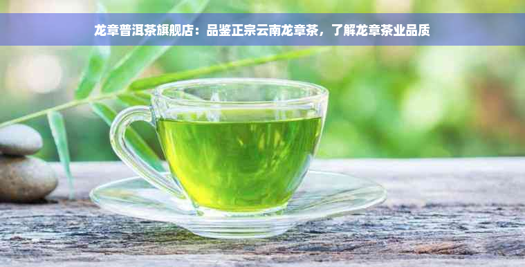 龙章普洱茶旗舰店：品鉴正宗云南龙章茶，了解龙章茶业品质