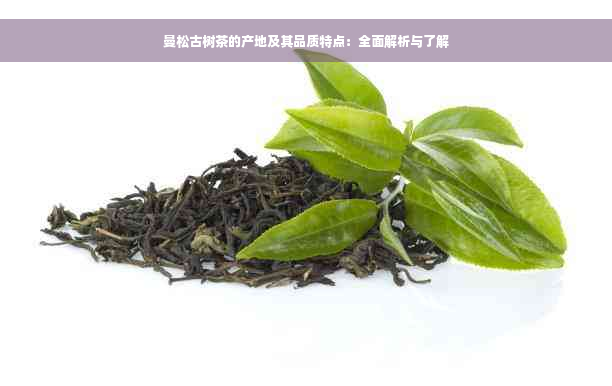 曼松古树茶的产地及其品质特点：全面解析与了解