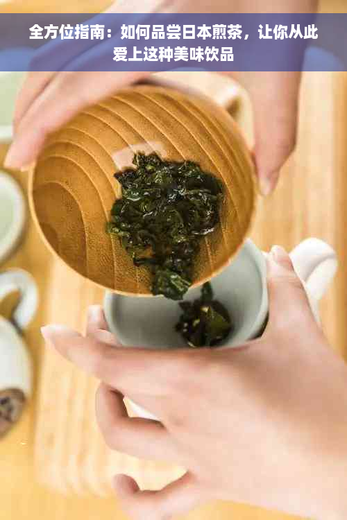 全方位指南：如何品尝日本煎茶，让你从此爱上这种美味饮品