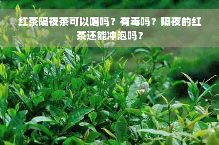 红茶隔夜茶可以喝吗？有毒吗？隔夜的红茶还能冲泡吗？